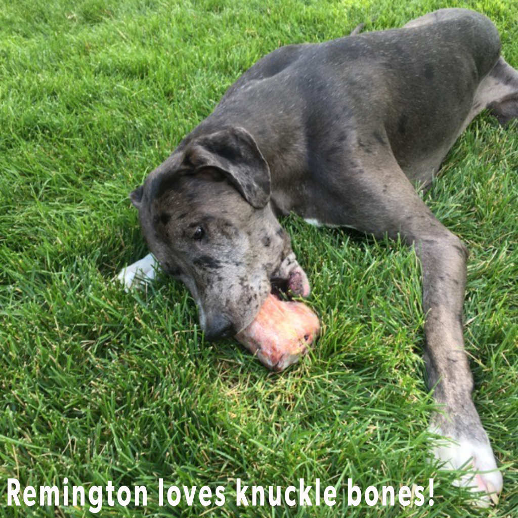 Beef Split Knuckle Dog Bones (5 lb)