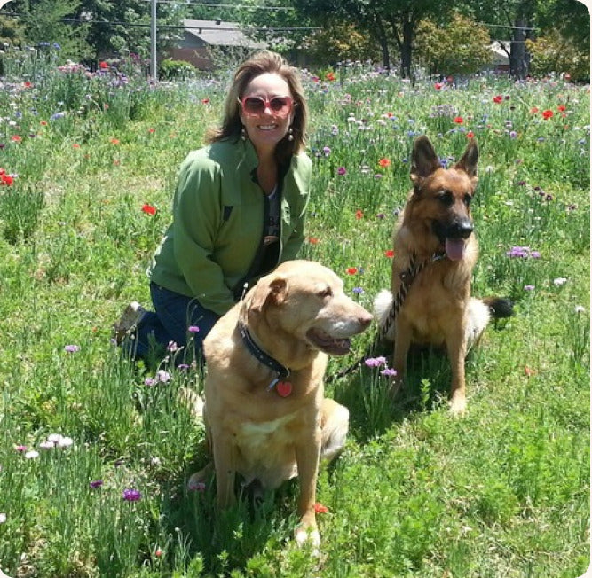 DeDe Murcer Moffett kneeling in a wildflower meadow with two dogs