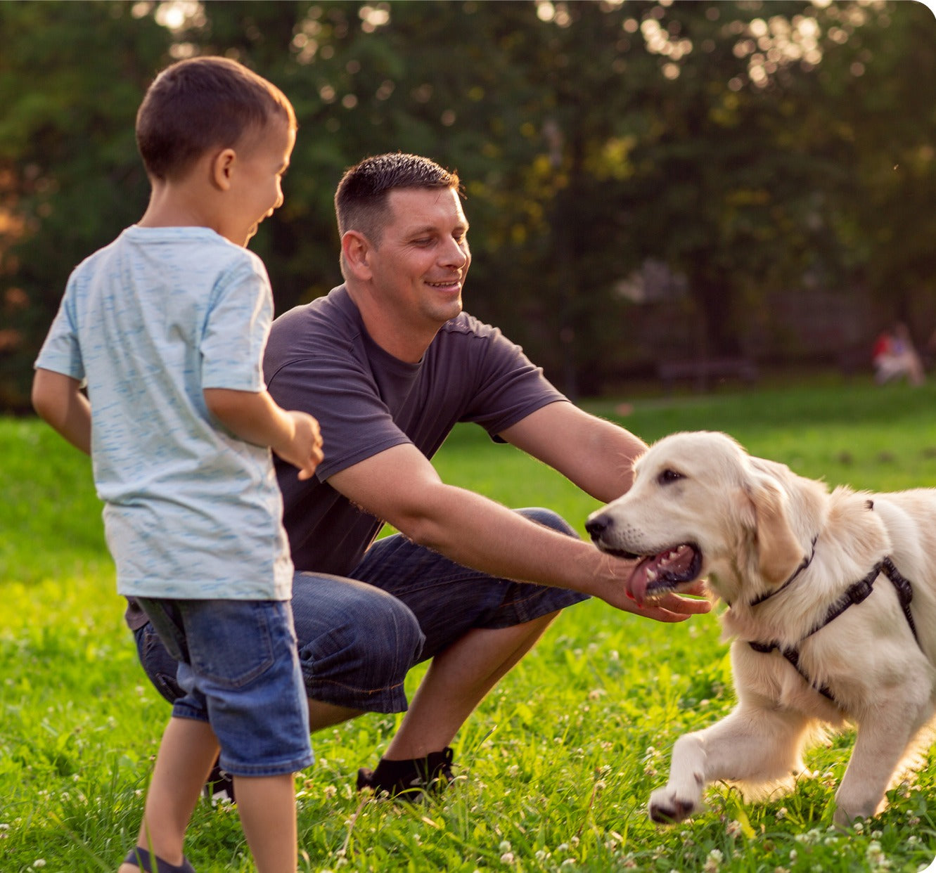 A father and son playing with their golden retriever on the grass